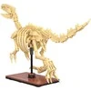 CaDA dinozaurų fosilijų dinozauro skeleto rinkinys: Velociraptor 256 dalys