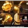 Dėlionė gramofonas Pantasy Retro Gramophone, 646 dalių