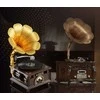 Dėlionė gramofonas Pantasy Retro Gramophone, 646 dalių