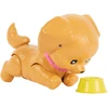 Lėlė Barbie Pets i piesek na wrotkach + priedai