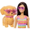 Lėlė Barbie Pets i piesek na wrotkach + priedai