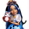 Mattel Monster High Robecca Steam lalka 28 cm + priedai i pupil