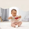 Montessori medinė edukacinė knyga „Gyvūnai 7 elementai“