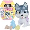 Žaislas Simba Šuniukas PAMPER PETZ 105950135