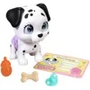 Simba Pamper Petz Piesek Dalmatyńczyk su pieluszkowego gangu 20 cm + priedai