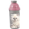 Gertuvė Bidon Paso School, 550ml