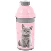Gertuvė Paso Cat, 550 ml