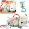 Mattel FISHER-PRICE lavinamasis žaislas – Raganosis (HYR55)