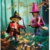 PLAYMOBIL DuoPack Witch and Wizard 72023