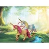 Konstruktorius Playmobil Fairies' Day Trip (72067)