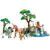 Konstruktorius Playmobil Fairies' Day Trip (72067)