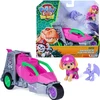 Spin Master PAW PATROL transporto priemonė Dino Theme Skye, 6075758