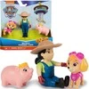 Spin Master PAW PATROL figūrėlė Hero Pup Core Skye, asort., 6070750