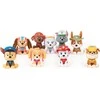 PAW PATROL Pliušinis šuniukas TRACKER, 15 cm