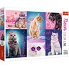Trefl Dėlionė 1000 vnt. - Super katės