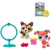 „Littlest Pet Shop Jump N' Joy“ figūrėlių ir aksesuarų rinkinys