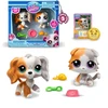 Rinkinys Littlest Pet Shop Lookalikes figurki i priedai