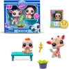 Rinkinys Littlest Pet Shop Zoo figurki i priedai
