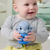 Mattel Zabawka sensoryczna grzechotka kūdikiams Mors su silikonową sprężynką