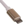 USB adapteris Akyga USB-C – DisplayPort Gold (AK-AD-56)