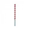 Grąžtas Alpen 72901200100 Twist drill