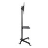 ART STO S-09 ART LENTA / VEŽIMĖLIS ant ratų + TELEVIZORIAUS LCD/LED/PLAZMA 23-55 25KG S-09 LAIKIKLIS