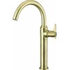 Praustuvo maišytuvas Deante Temisto Tall BQT_M20K, Brass