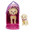 Mattel Lėlė Barbė šuniukų įvaikinimo žaidimų rinkinys