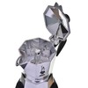 Bialetti New Moka Elettrika 2TZ (90 ml) sidabrinė