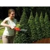 Black &amp; Decker Akumuliatorinės gyvatvorių žirklės GSL300
