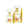 Brit Care Cat GF Haircare Healthy&Shiny Coat (lašiša&vištiena) 7kg