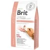 Brit GF Veterinary Diets sausas Maistas šunims Renal 2kg