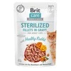 Brit_Care KONS KATĖMS BRITCARE HEALTHY triušiena 85 G
