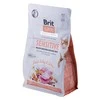Brit Care Cat GF Sensitive Healthy Digestion&amp;Delicate Taste (Šviežia kalakutiena&amp;lašiša) 0,4kg
