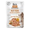 Drėgnas Kačių Maistas - Brit Care - 85 g - Lašišos