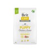 Brit Care SS Puppy vištiena&Insect 3kg