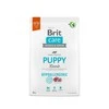 Brit Care HP Puppy su ėriena ir ryžiais NEW 3kg