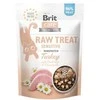 Kačių Skanėstai - Brit Care Raw Jautriems Skrandžiams Su Kalakutiena 40g