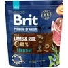 BRIT Premium by Nature Sensitive su ėriena ir ryžiais - dry dog food - 1kg