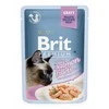 ĖDALAS KATĖMS BRIT STERILISED GRAVY 85G