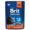 Brit Premium lašiša for Sterilised 100 g