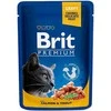 Brit Premium lašiša&amp;upėtakis 100 g