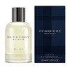 Burberry Weekend Men EDT tualetinis vanduo vyrams, 100 ml