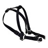 Chaba Dog pakinktai 3-60 cm