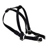 Chaba Dog pakinktai 3-60 cm