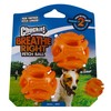 „Chuckit“ – „Breathe Right Fetch Ball“, vidutinis 6,5 cm, 2 pk – (CHUC32141)