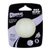 Chuckit! Max Glow tamsoje šviečiantis kamuoliukas šunims, 5 cm