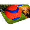 Chuckit – Ultra Ball M 6 cm 2 pakuotė – (CHUC17001)