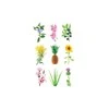 Click And Grow Click &amp; Grow Smart Garden papildymas Grow Anything 3 tk