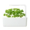 Click And Grow Click & Grow Smart Garden papildymas Petražolėmis 3 vnt